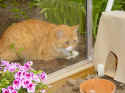 Mille_may_05_01.jpg (99999 byte)